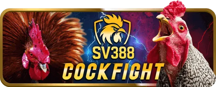 Đá gà trực tuyến GG8816